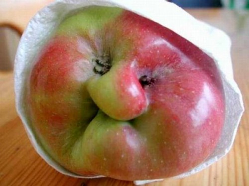 Вот такое яблочко!