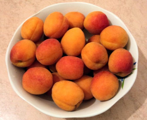 моем абрикосы
